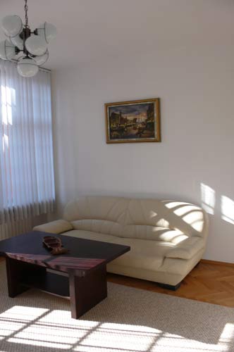Apartament Gdańsk Mariacka 80-833 Gdańsk ul. Mariacka 14-15 Salon - sofa skórzana, rozkładana dla dwóch osób